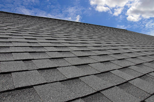 Best Roof Moss and Algae Removal  in Scottdale, PA